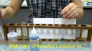 Benedict's test for reducing sugars