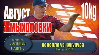 Рыбалка Волга   Астрахань сазан жмыховка
