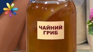 Чайный гриб: какая польза и вред? – Все буде добре. Выпуск 984 от 16.03.17