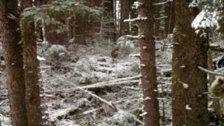 Deer Hunting In Alaska Day 2