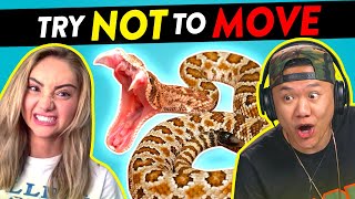 YouTube & TikTok Creators React To The Try Not to Move Challenge