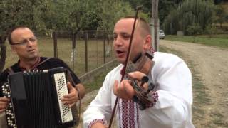 Яворе, яворе... - гурт "Калим" ЗАКАРПАТЕЦЬ Сколомийка Приборжавське Весілля (Wedding Transcarpathia)