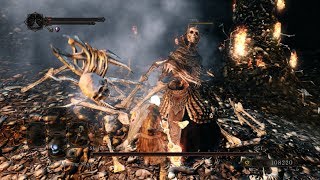 Dark Souls 2: SL1 NG+7 CoC - Skeleton Lords