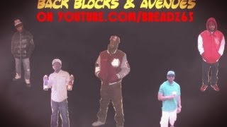 BACK BLOCKS & AVENUES EPISODE 6 (THE DAY & THE LIFE OF A UPTOWN NIGGA)