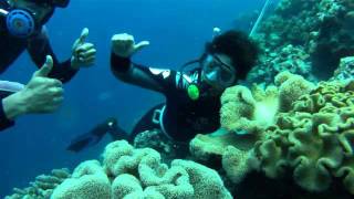 Padei Island Diving Spots @ Toli-Toli Kendari Sulawesi Tenggara