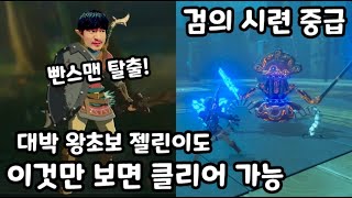 젤다의 전설 : 야생의 숨결 DLC 5화 - 대박 왕초보 젤린이도 이것만 보면 클리어 가능 (검의 시련 중급)