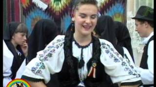 ALEXANDRA SCROB - Frunza verde de cires