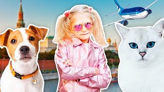 ПОЧЕМУ мы ПОМЕНЯЛИ БИЛЕТЫ И ВЕРНУЛИСЬ ДОМОЙ!? КОШКА И СОБАКА ДОМА!! в гостях ПОЛИЦИЯ!!