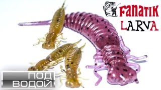 съедобная резина Fanatik Larva под водой