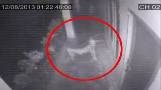 5 Secret Footages Of Creatures You're NOT Allowed To Watch!