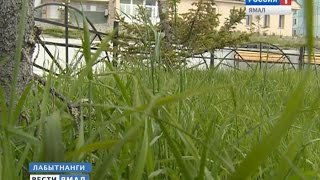 Вечная мерзлота под контролем. Чудо-состав в условиях Крайнего Севера