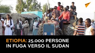 Etiopia: 25.000 persone in fuga verso il Sudan