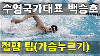 SHC 수영강습_수영 국가대표 백승호 접영 팁(가슴누르기)