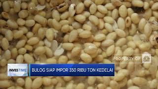 Bulog Siap Impor 350 Ribu Ton Kedelai