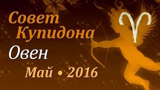 Овен, совет Купидона на май 2016. Любовный гороскоп.