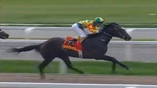Horse racing (Скачки на лошадях).Старт и финиш.
