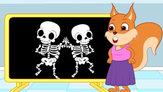 Famille d'Écureuil - Radiographie Pour Enfants Animé 2021 en Français