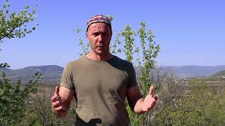 При болях в спине