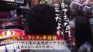 【サイトセブンTV】ういちとヒカルとウシオのおもスロいテレビSP　華のことなら任せておけ！第87回日本一の華男決定戦！（後編）