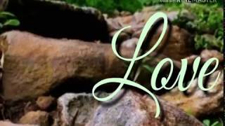 The pincod love Status new Romantic