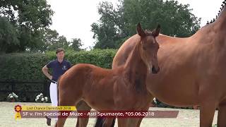 KN 18: SF v. I'm Spezial de Muze / Asti Spumante
