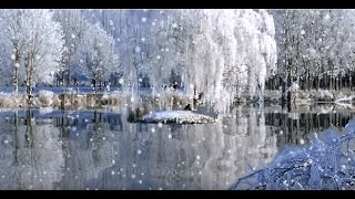 Футаж зима в лесу Потрясающе красивый зимний футаж HD