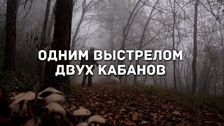 Двух кабанов с одного выстрела из TG-3! Или как не НУЖНО стрелять из 9,6 на 53