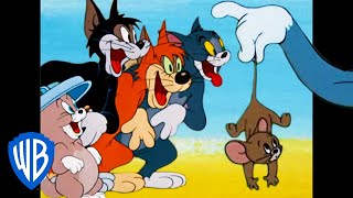 Tom et Jerry en Français | Quelle chat-tastrophe !