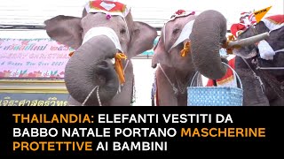 Thailandia: elefanti vestiti da Babbo Natale portano mascherine protettive ai bambini