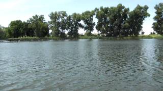 Neraus 40 lb +Kolibri KM 280