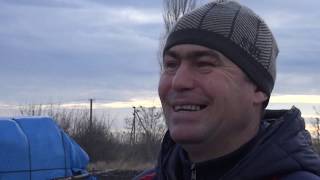 Николаевские голуби. Поселок где все гоняют голубей.