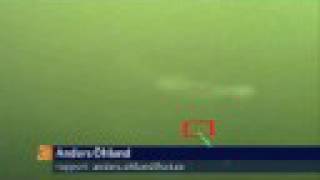 Swedish Sea Monster Caught on Film