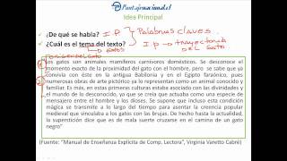 Taller estrategias de comprensión lectora - Lección 1