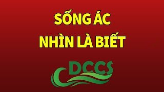 Người ăn ở thiện hay ác ngoại hình đều lưu lại dấu vết này DCCS