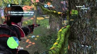 Assassin's Creed: Rogue. Испытание охотника в Девственном лесу. Охота на серых волков.