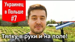 Жирардув, Польша. Сезонная работа на ферме - #7 Украинец в Польше