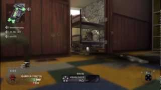 Call of Duty: Black Ops: Rise From The Dead