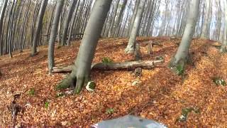 Go Pro HD Hero 2 Lost in the Woods of Slovakia