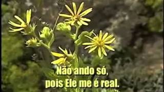 Não Ando Só, Hinario Adventista Nº  382