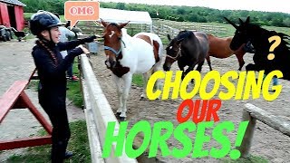 CHOOSING OUR HORSES Day 236 (08/25/17)