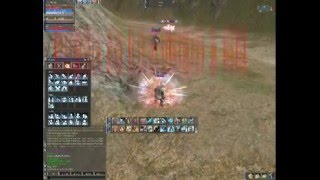 Lineage 2 - Everlast (mass pvp)