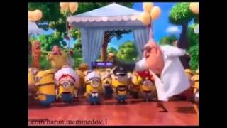 prikollar gulmeli videolar