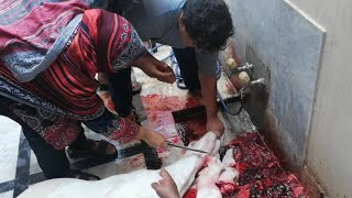 Goat Qurbani by Women | Takbeer can be performed by women herself.