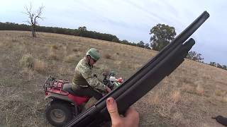 Charging boar day two pig hunt June Long weekend (Viewer discretion advised)