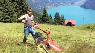 Swiss Mountain Farming