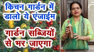 टेरेस गार्डन के लिए रामबाण है ये एन्जाईम, घर पर बनाएं Enrich enzyme manure for kitchen garden