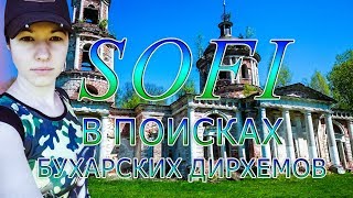 Sofi в поисках бухарских дирхемов
