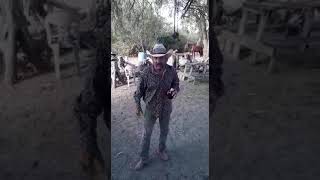 Sr Guevara - Pilo Chistes Javier Tamez