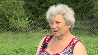 Грядки. Добрый урожай. Выпуск 29