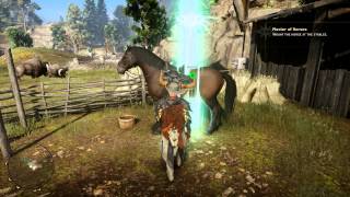 Dragon Age Inquisition: Master of Horses